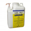 PASTA LAVAMANI GEL PH7